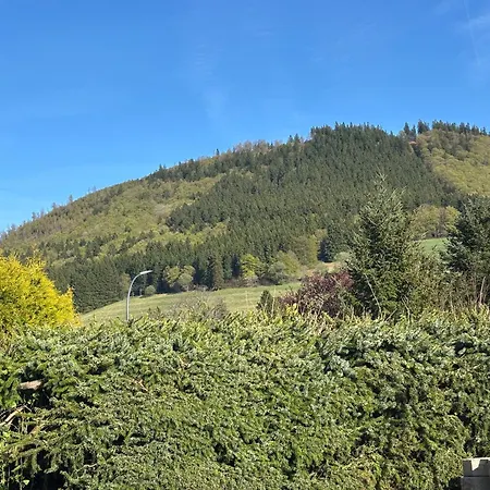 Apartment Waldblick